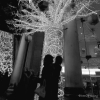 le baiser 